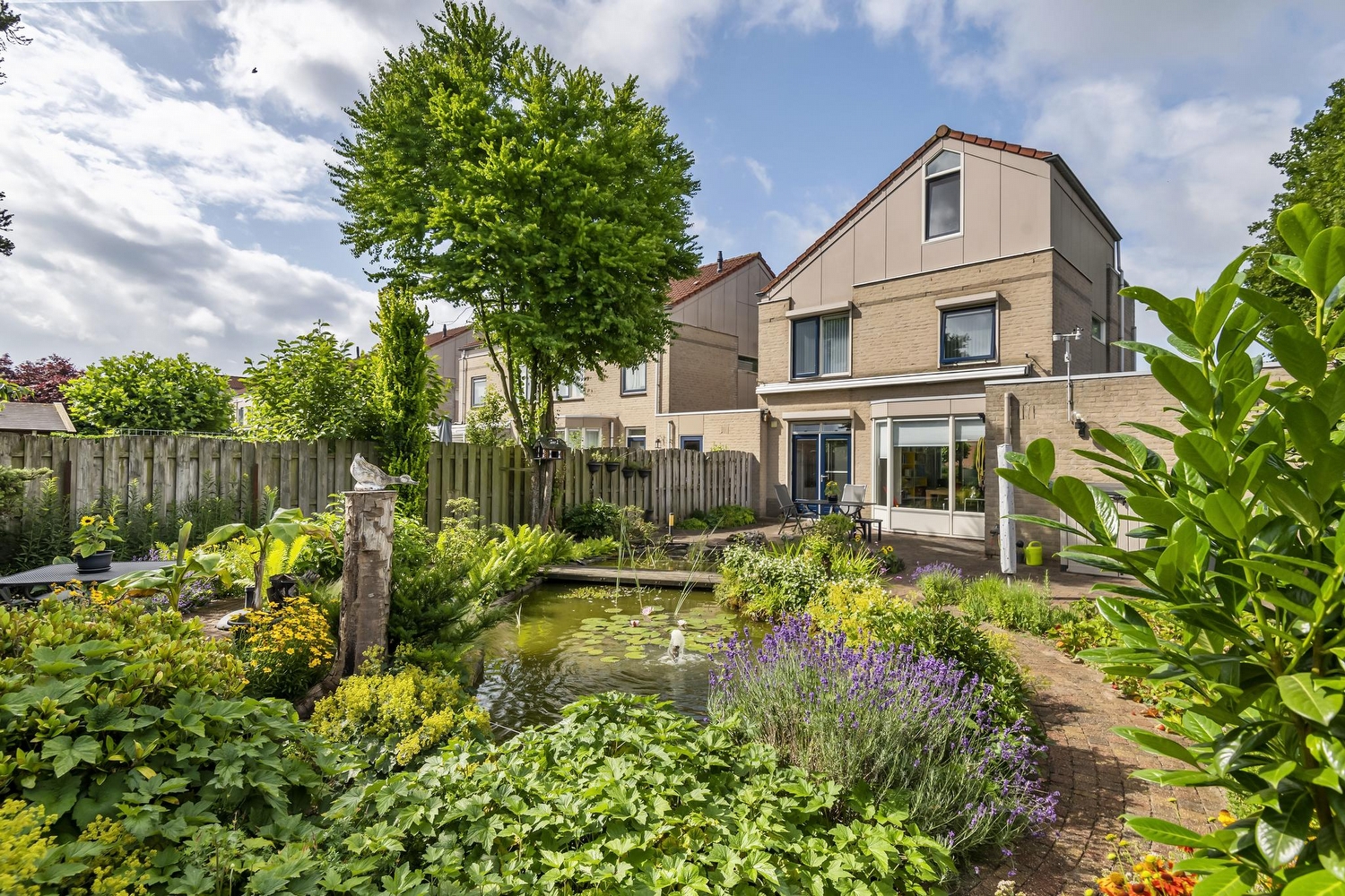Ranonkel 16, Tiel