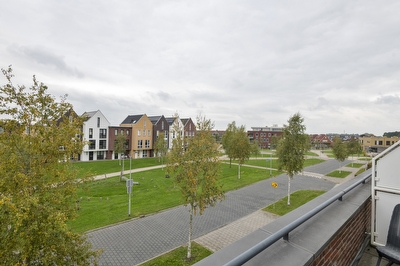 Aardbeivlinder 46, Tiel