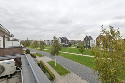 Aardbeivlinder 46, Tiel