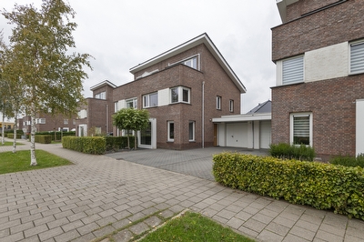 Aardbeivlinder 46, Tiel
