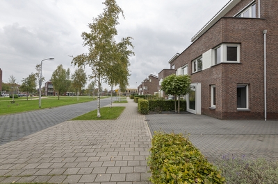 Aardbeivlinder 46, Tiel
