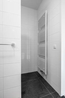 Bruine Eikenpage 60, Tiel