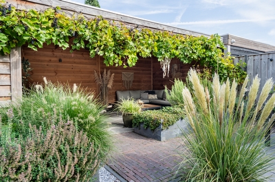 Bruine Eikenpage 60, Tiel