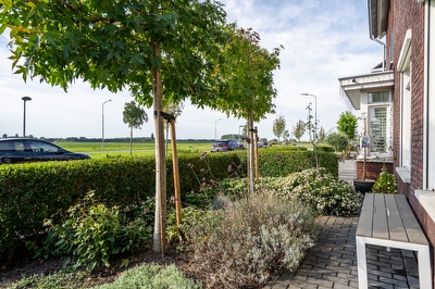 Bruine Eikenpage 60, Tiel