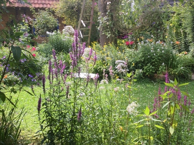 De Schoorsteen 23 B, Kerk-Avezaath