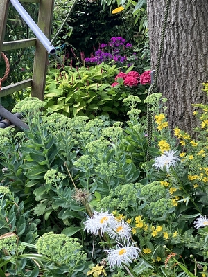 De Schoorsteen 23 B, Kerk-Avezaath