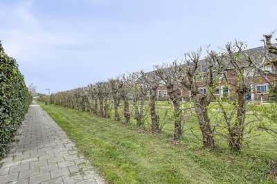 Doliumstraat 12, Tiel