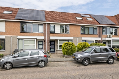 Duifkruid 11, Tiel