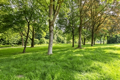Gallencamp 28, Tiel