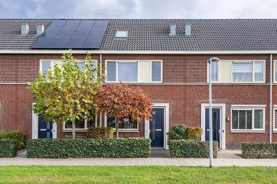 Gentiaanblauwtje 11, Tiel