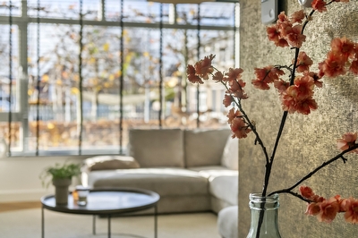 Grote Vuurvlinder 25, Tiel