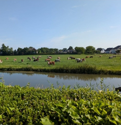 Lingedijk 65 a, Wadenoijen