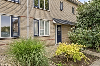 Notarisappel 146, Tiel