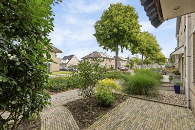 Notarisappel 146, Tiel