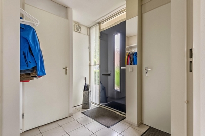 Ranonkel 16, Tiel
