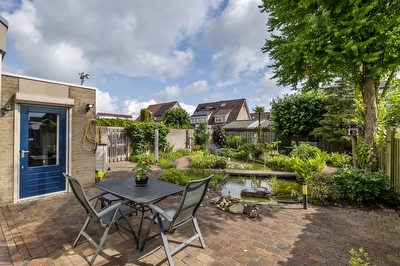 Ranonkel 16, Tiel