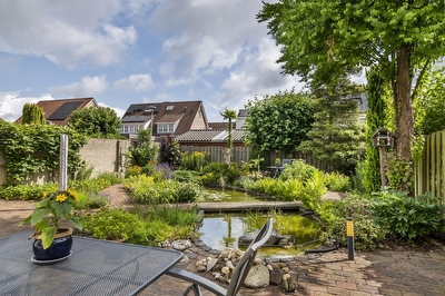 Ranonkel 16, Tiel