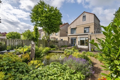 Ranonkel 16, Tiel